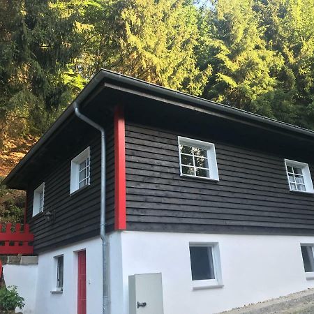 Вілла Blockhaus Im Kuckuckswinkel Schona Екстер'єр фото